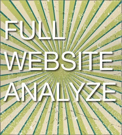 Full Website Analyze